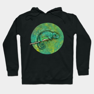 Invisible chameleon Hoodie